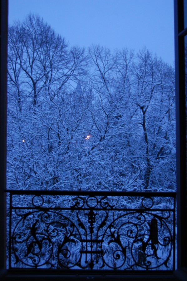 neige depuis ma fenêtre