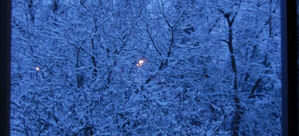 neige depuis ma fenêtre