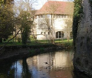 envol de poule d'eau dans la Nonette devant le bastion